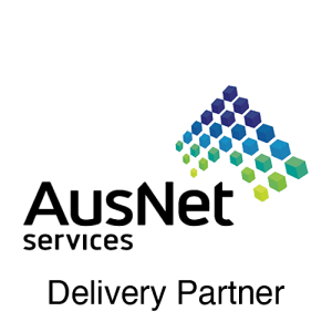 ISO-9001 copy Delivery Partner